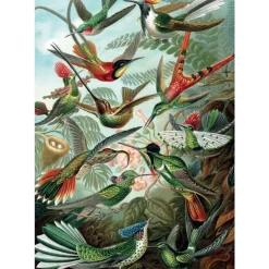 Piatnik - Ernest Haeckel - Hummingbirds - 1000 Piece Jigsaw Puzzle Outlet