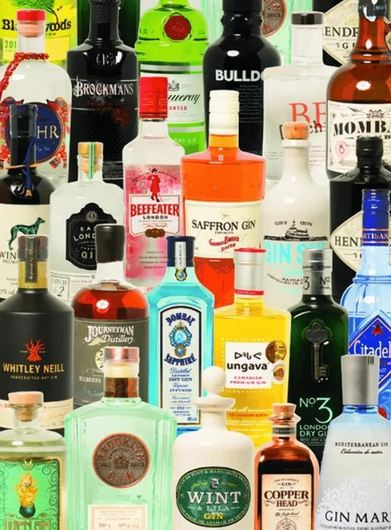 Piatnik - Taste Of Gin - 1000 Piece Jigsaw Puzzle Fashion