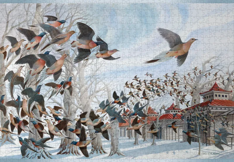 Pomegranate - John A. Ruthven: The Last Passenger Pigeon - 1000 Piece Jigsaw Puzzle Hot