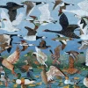 Pomegranate - Pat Scott: Taking Off - 500 Piece Jigsaw Puzzle Fashion