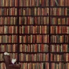 Pomegranate - Rebecca Campbell: Do Not Disturb - 1000 Piece Jigsaw Puzzle Clearance