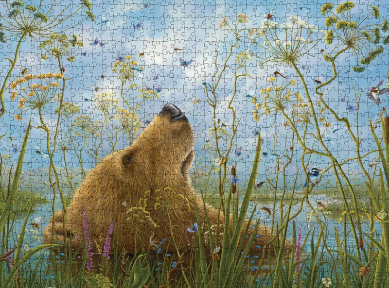 Pomegranate - Robert Bissell: The Whole World - 1000 Piece Jigsaw Puzzle New