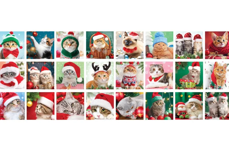 Eurographics *** Pre-Order *** - Advent Calendar - Christmas Whiskers Best