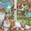 Falcon de luxe ** Pre-Order ** Falcon - Lazy Afternoon - 1000 Pieces Online