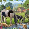 Ravensburger ** Pre-Order ** - Hadlow Ponies - 500 Piece Hot