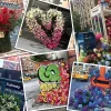 Ravensburger - NYC Flower Flash - 1000 Piece Jigsaw Puzzle Sale