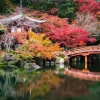 Ravensburger - Beautiful Gardens – Kyoto, Japan - 1000 Piece Jigsaw Puzzle New