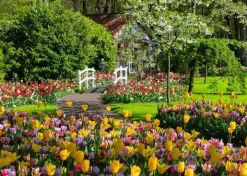 Ravensburger - Beautiful Gardens – Netherlands - 1000 Piece Jigsaw Puzzle Fashion