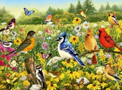 Ravensburger - Birds in the Meadow - 500 Piece Jigsaw Puzzle Sale