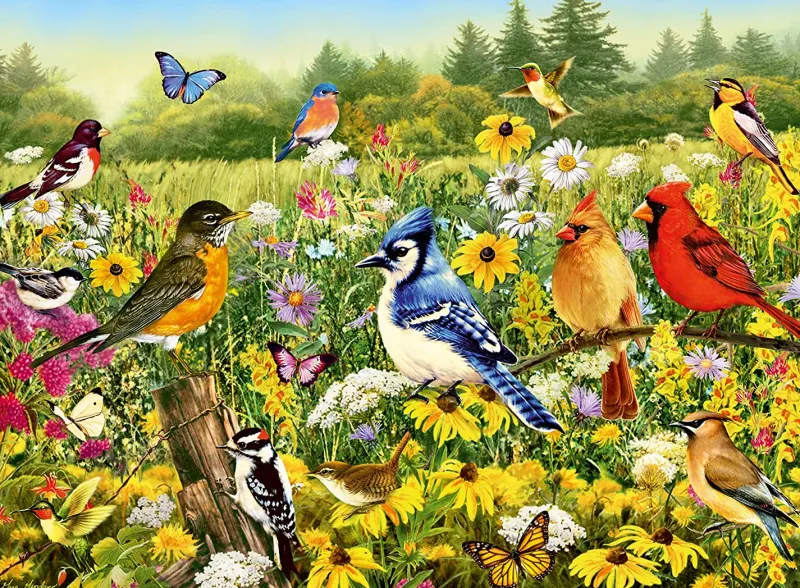 Ravensburger - Birds in the Meadow - 500 Piece Jigsaw Puzzle Sale