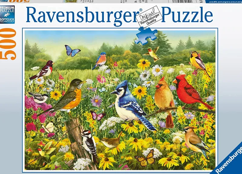 Ravensburger - Birds in the Meadow - 500 Piece Jigsaw Puzzle Sale