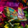 Ravensburger - Colourful Animals - Chameleon - 500 Piece Jigsaw Puzzle Sale