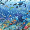 Ravensburger - Colourful Underwater World - 3000 Piece Jigsaw Puzzle Sale