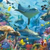 Ravensburger - Coral Retreat - 1000 Piece Jigsaw Puzzle Outlet