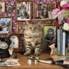 Ravensburger - Cute Kitty - 1000 Piece Jigsaw Puzzle Clearance