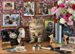 Ravensburger - Cute Kitty - 1000 Piece Jigsaw Puzzle Clearance