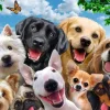 Ravensburger - Delighted Dogs XXL - 300 Piece Jigsaw Puzzle New