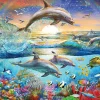 Ravensburger - Dolphin Paradise XXL -300 Piece Jigsaw Puzzle New