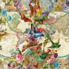 Ravensburger - Flora Fauna World Map - 3000 Piece Jigsaw Puzzle New