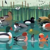 Ravensburger - I like Birds - Waterlands - 500 Piece Jigsaw Puzzle Fashion