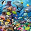 Ravensburger - Jewels Of The Sea - 1000 Piece Jigsaw Puzzle Best