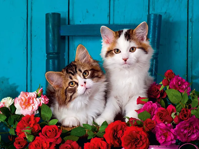 Ravensburger - Kittens and Roses - 500 Piece Jigsaw Puzzle Fashion
