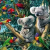 Ravensburger - Koalas in a Tree - 500 Piece Jigsaw Puzzle Sale