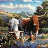 Ravensburger - Longhorns - 500 Piece Jigsaw Puzzle Online