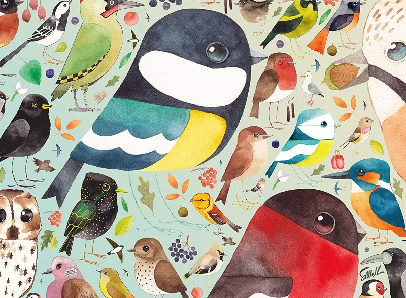 Ravensburger - Matt Sewell's Our British Birds - 500 Piece Jigsaw Puzzle Hot