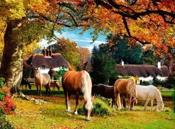 Ravensburger - Picturesque Hampshire - 2 x 500 Piece Jigsaw Puzzle Best