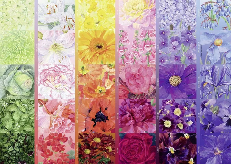 Ravensburger - The Gardener's Palette No.1, Cottage Garden - 1000 Piece Jigsaw Puzzle Best