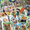 Ravensburger - Traveller's Animal Journal - 1000 Piece Jigsaw Puzzle Hot
