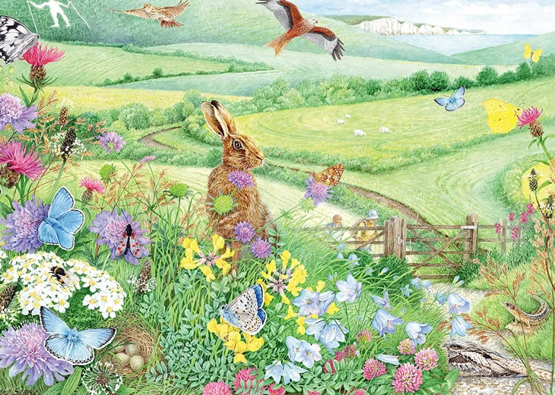 Ravensburger - Walking World No.1 South Downs - 1000 Piece Jigsaw Puzzle Hot