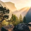 Ravensburger - Yosemite Park - 1000 Piece Jigsaw Puzzle Best