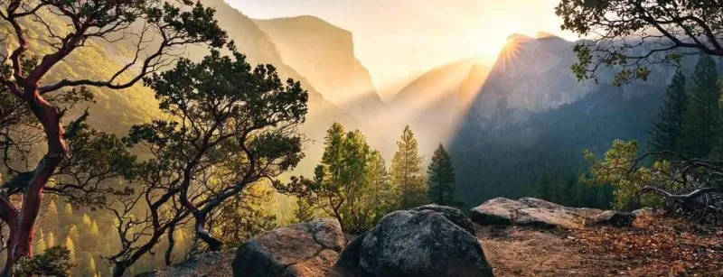 Ravensburger - Yosemite Park - 1000 Piece Jigsaw Puzzle Best