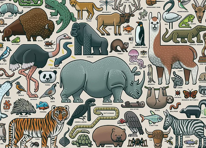 Ravensburger - You Wild Animal - 1000 Piece Jigsaw Puzzle Discount