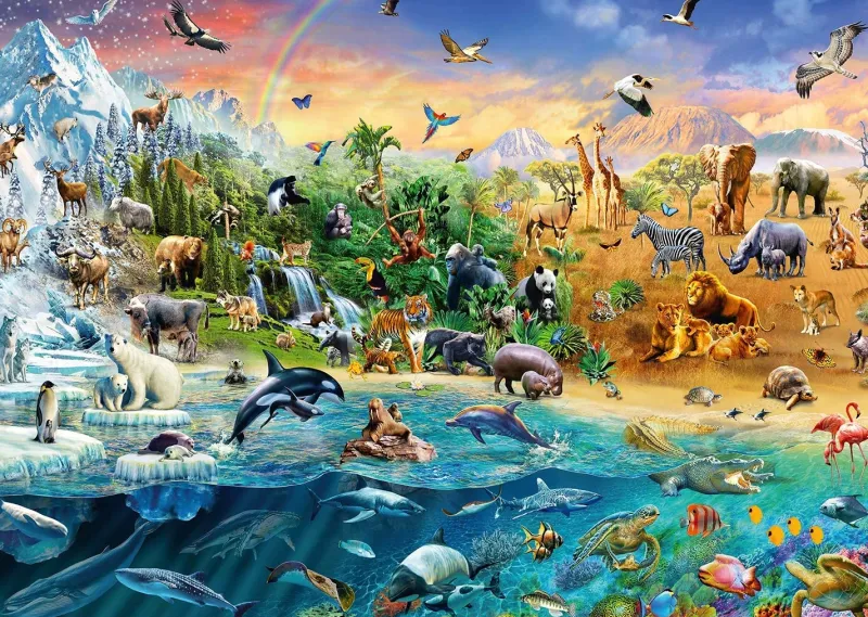 Schmidt - Animal Kingdom - 1000 Piece Jigsaw Puzzle Outlet