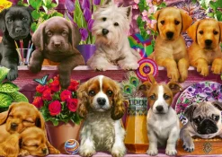 Schmidt - Dog in the Shelves - 500 Piece Jigsaw Puzzle Outlet