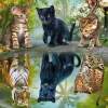 Schmidt - Dream Big! - 1000 Piece Jigsaw Puzzle Outlet