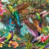 Schmidt - Hummingbirds in a Burst of Colour - 1000 Piece Best