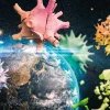 Schmidt - Planet Earth 2020 - 1000 Piece Jigsaw Puzzle Online