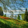 Schmidt - Spring Avenue, Mainau - 1000 Piece Jigsaw Puzzle Clearance