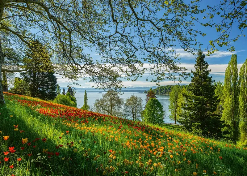 Schmidt - Spring Avenue, Mainau - 1000 Piece Jigsaw Puzzle Clearance