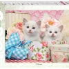 Step Puzzle - Kittens - 1000 Piece Jigsaw Puzzle Discount