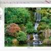 Step Puzzle 79115 Waterfall in Portland Japanese Garden Online