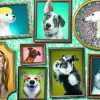 Trefl - Doggies Gallery - 1000 Piece Jigsaw Puzzle Outlet