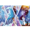 Trefl - Frozen II - 1000 Piece Jigsaw Puzzle Best