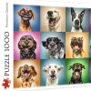 Trefl - Funny Dog Portraits - 1000 Piece Jigsaw Puzzle Outlet