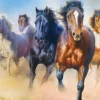 Trefl - Galloping Herd of Horses - 2000 piece jigsaw puzzle Hot