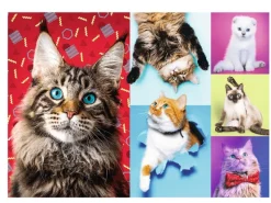 Trefl - Happy Cats - 1000 Piece Jigsaw Puzzle Fashion
